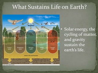 What Sustains Life on Earth?


                  • Solar energy, the
                    cycling of matter,
                    and gravity
                    sustain the
                    earth’s life.
 