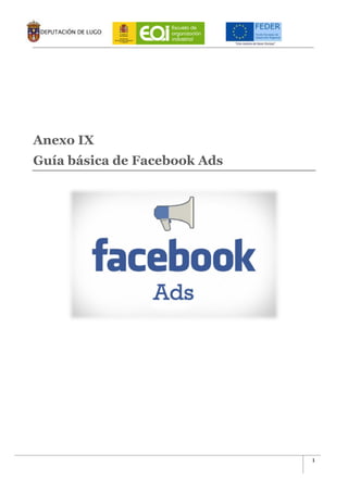 1
Anexo IX
Guía básica de Facebook Ads
 