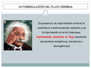 En presencia de hipertensión arterial la
resistencia cerebrovascular aumenta y en
la hipotensión arterial disminuye,
manteniendo constante el flujo (mediante
mecanismos miogénicos, mecánicos y
neurogénicos)
AUTORREGULACIÓN DEL FLUJO CEREBRAL
 