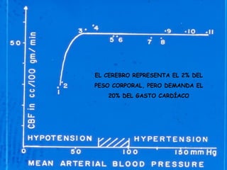 EL CEREBRO REPRESENTA EL 2% DEL
PESO CORPORAL, PERO DEMANDA EL
20% DEL GASTO CARDÍACO
 