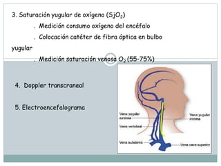 3. Saturación yugular de oxígeno (SjO2)
. Medición consumo oxígeno del encéfalo
. Colocación catéter de fibra óptica en bulbo
yugular
. Medición saturación venosa O2 (55-75%)
4. Doppler transcraneal
5. Electroencefalograma
 