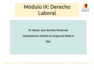 Módulo IX: Derecho
Laboral
Dr. Néstor Juan Saviñón Portorreal
Interpretación Judicial en Lengua de Señas II
ENJ
 