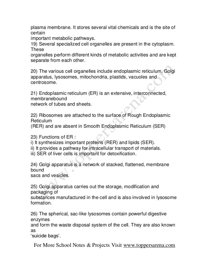 plasma membrane. It stores several vital chemicals and is the site ofcertainimportant metabolic pathways.19) Several speci...
