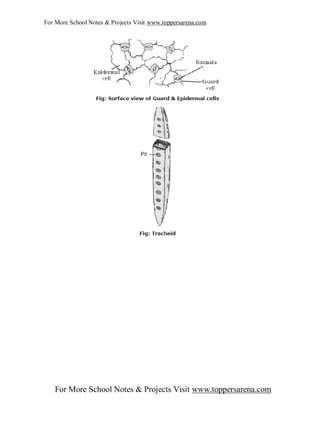 Ix Biology Full Notes Chapter 2 Pdf