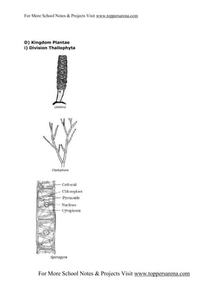 For More School Notes & Projects Visit www.toppersarena.com




D) Kingdom Plantae
i) Division Thallophyta




       For More School Notes & Projects Visit www.toppersarena.com
 
