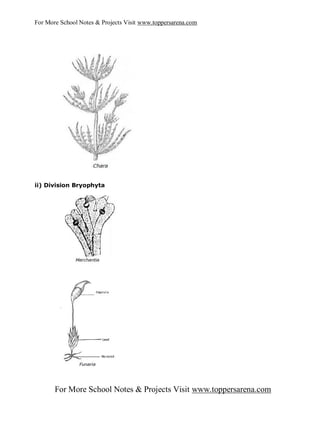 For More School Notes & Projects Visit www.toppersarena.com




ii) Division Bryophyta




       For More School Notes & Projects Visit www.toppersarena.com
 