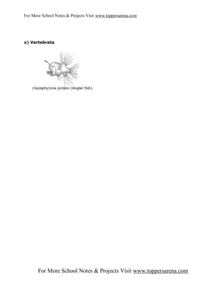 For More School Notes & Projects Visit www.toppersarena.com




x) Vertebrata




       For More School Notes & Projects Visit www.toppersarena.com
 