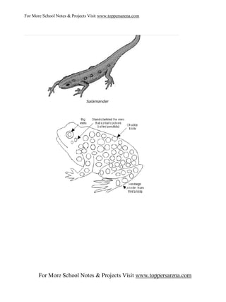 For More School Notes & Projects Visit www.toppersarena.com




       For More School Notes & Projects Visit www.toppersarena.com
 