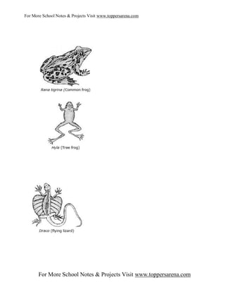 For More School Notes & Projects Visit www.toppersarena.com




       For More School Notes & Projects Visit www.toppersarena.com
 