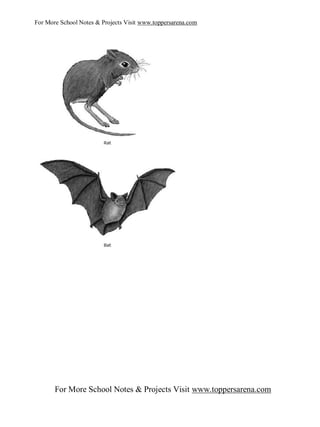 For More School Notes & Projects Visit www.toppersarena.com




       For More School Notes & Projects Visit www.toppersarena.com
 