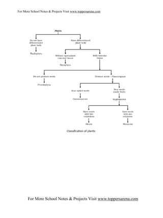 Ix biology full notes chapter 3 | PDF