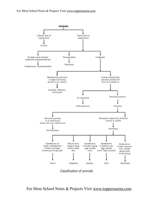 For More School Notes & Projects Visit www.toppersarena.com




       For More School Notes & Projects Visit www.toppersarena.com
 