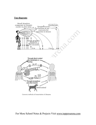 Top diagrams




 For More School Notes & Projects Visit www.toppersarena.com
 