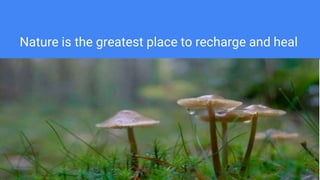 Nature is the greatest place to recharge and heal
 