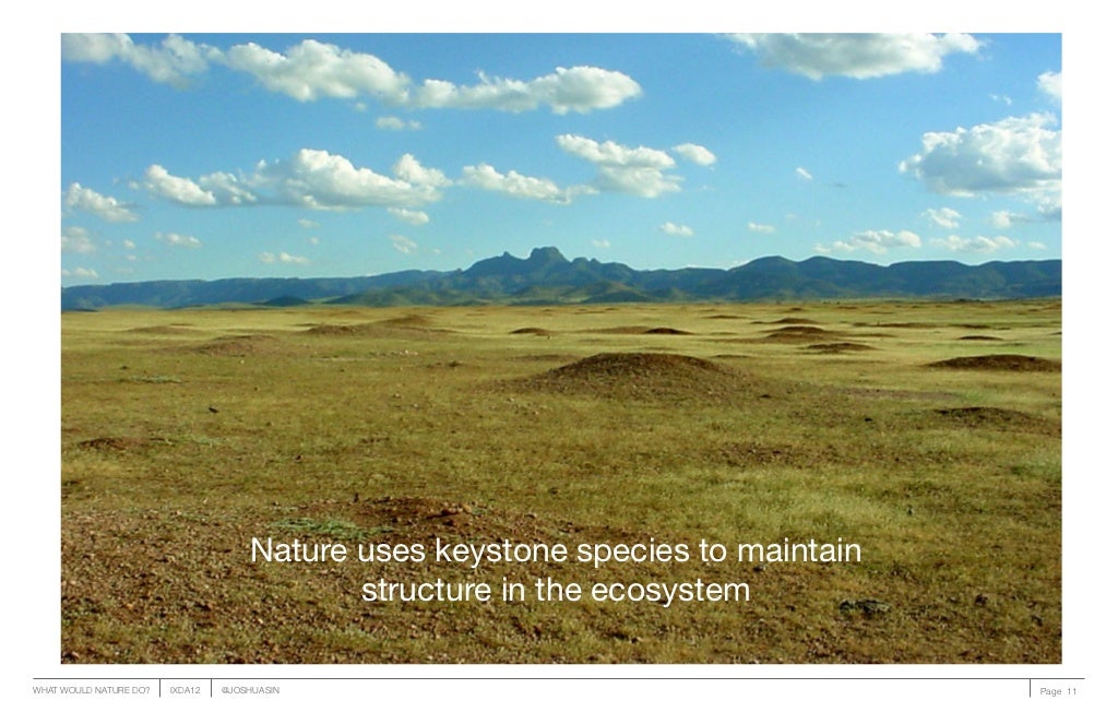 Nature uses keystone species to