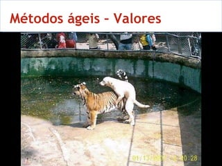 10 Métodos ágeis – Valores 