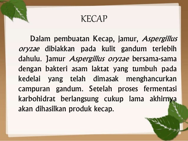 Bioteknologi Konvensional