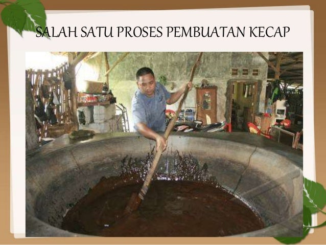 Bioteknologi Konvensional