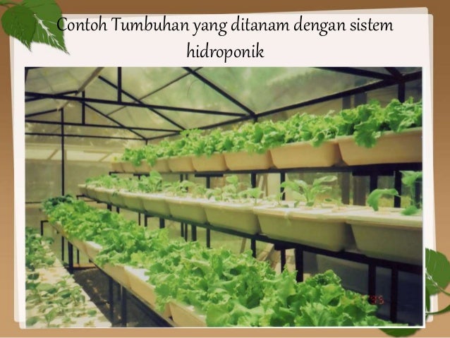 Bioteknologi Konvensional