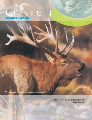 Chance favours the prepared mind.
Louis Pasteur
 