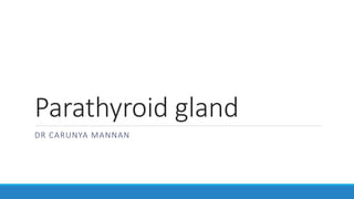 Parathyroid gland
DR CARUNYA MANNAN
 