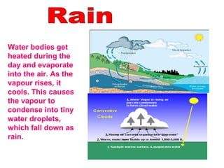Water bodies get
heated during the
day and evaporate
into the air. As the
vapour rises, it
cools. This causes
the vapour to
condense into tiny
water droplets,
which fall down as
rain.
 