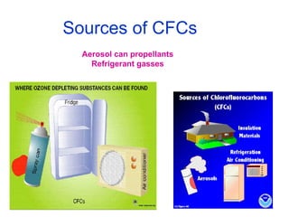 Sources of CFCs
Aerosol can propellants
Refrigerant gasses
 