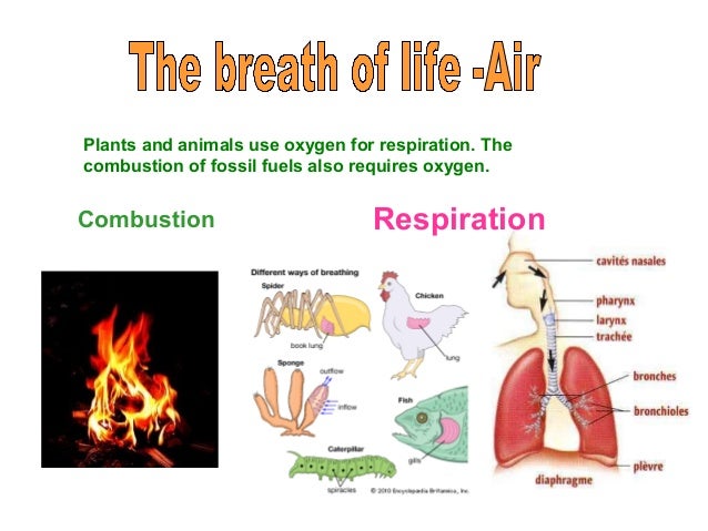 Ix Natural Resources Ppt