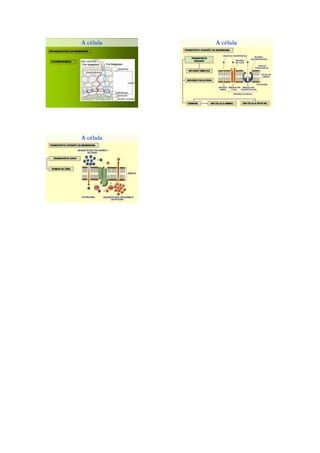 Ix plano de aula  pronto em pdf