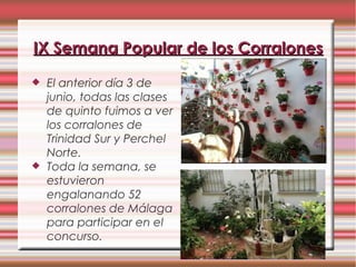 IX Semana Popular de los CorralonesIX Semana Popular de los Corralones
 El anterior día 3 de
junio, todas las clases
de quinto fuimos a ver
los corralones de
Trinidad Sur y Perchel
Norte.
 Toda la semana, se
estuvieron
engalanando 52
corralones de Málaga
para participar en el
concurso.
 
