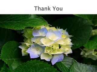 Intermittent exotropia