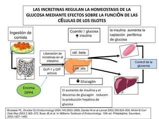 No se metaboliza. Se eliminapor la orina sin cambiosFDA