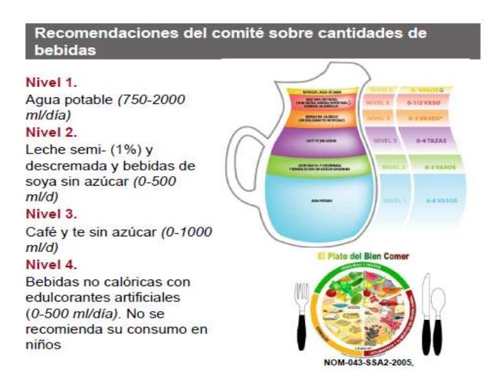 Tratamiento nutricional de la Diabetes tipo 2, por la Dra Tratamiento nutricional de la Diabetes tipo 2, por la Dra