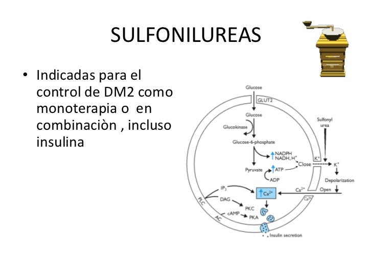 Tratamiento nutricional de la Diabetes tipo 2, por la Dra Tratamiento nutricional de la Diabetes tipo 2, por la Dra