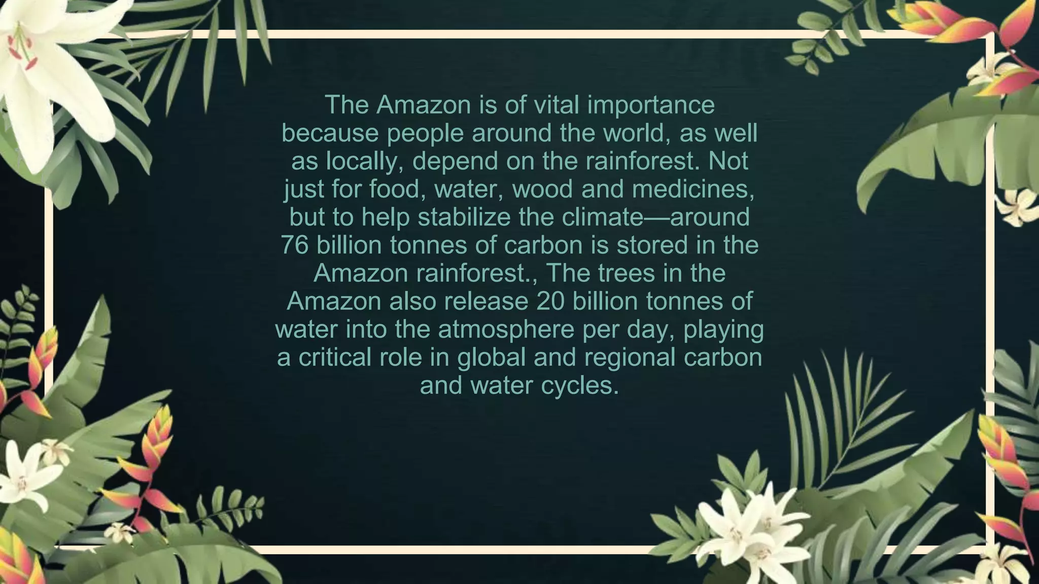 Amazon rainforest.pptx
