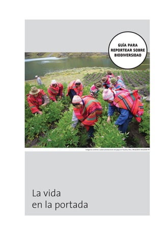 Indígenas andinos cuidan plantaciones de papa en Huama, Perú. MILAGROS SALAZAR/IPS




La vida
en la portada
 