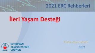 Prof.Dr.Akcan AKKAYA
2021 ERC Rehberleri
2021
 