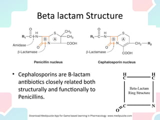 Beta lactam Structure
• Cephalosporins are B-lactam
antibiotics closely related both
structurally and functionally to
Penicillins.
 