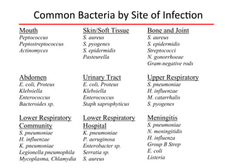 Common Bacteria by Site of Infection
Mouth
Peptococcus
Peptostreptococcus
Actinomyces
Skin/Soft Tissue
S. aureus
S. pyogenes
S. epidermidis
Pasteurella
Bone and Joint
S. aureus
S. epidermidis
Streptococci
N. gonorrhoeae
Gram-negative rods
Abdomen
E. coli, Proteus
Klebsiella
Enterococcus
Bacteroides sp.
Urinary Tract
E. coli, Proteus
Klebsiella
Enterococcus
Staph saprophyticus
Upper Respiratory
S. pneumoniae
H. influenzae
M. catarrhalis
S. pyogenes
Lower Respiratory
Community
S. pneumoniae
H. influenzae
K. pneumoniae
Legionella pneumophila
Mycoplasma, Chlamydia
Lower Respiratory
Hospital
K. pneumoniae
P. aeruginosa
Enterobacter sp.
Serratia sp.
S. aureus
Meningitis
S. pneumoniae
N. meningitidis
H. influenza
Group B Strep
E. coli
Listeria
 