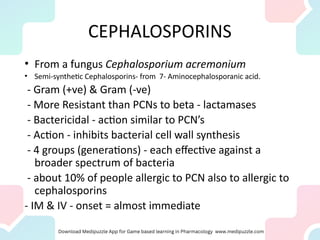 CEPHALOSPORINS
• From a fungus Cephalosporium acremonium
• Semi-synthetic Cephalosporins- from 7- Aminocephalosporanic acid.
- Gram (+ve) & Gram (-ve)
- More Resistant than PCNs to beta - lactamases
- Bactericidal - action similar to PCN’s
- Action - inhibits bacterial cell wall synthesis
- 4 groups (generations) - each effective against a
broader spectrum of bacteria
- about 10% of people allergic to PCN also to allergic to
cephalosporins
- IM & IV - onset = almost immediate
 