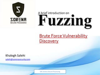 Fuzzing
Brute ForceVulnerability
Discovery
Khalegh Salehi
salehi@sorenasecurity.com
SSP, Sorena Secure Processing
A brief introduction on
 