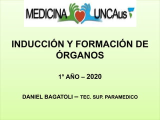 INDUCCIÓN Y FORMACIÓN DE
ÓRGANOS
1° AÑO – 2020
DANIEL BAGATOLI – TEC. SUP. PARAMEDICO
 
