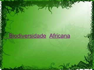 Biodiversidade Africana
 