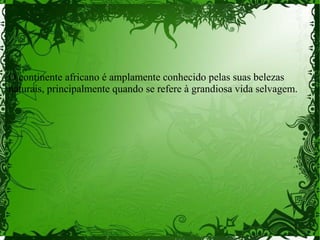 O continente africano é amplamente conhecido pelas suas belezas
naturais, principalmente quando se refere à grandiosa vida selvagem.