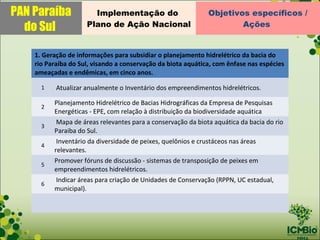 PAN Paraíba            Implementação do                       Objetivos específicos /
  do Sul             Plano de Ação Nacional                           Ações


    1. Geração de informações para subsidiar o planejamento hidrelétrico da bacia do
    rio Paraíba do Sul, visando a conservação da biota aquática, com ênfase nas espécies
    ameaçadas e endêmicas, em cinco anos.

      1    Atualizar anualmente o Inventário dos empreendimentos hidrelétricos.

          Planejamento Hidrelétrico de Bacias Hidrográficas da Empresa de Pesquisas
      2
          Energéticas - EPE, com relação à distribuição da biodiversidade aquática
           Mapa de áreas relevantes para a conservação da biota aquática da bacia do rio
      3
          Paraiba do Sul.
           Inventário da diversidade de peixes, quelônios e crustáceos nas áreas
      4
          relevantes.
          Promover fóruns de discussão - sistemas de transposição de peixes em
      5
          empreendimentos hidrelétricos.
           Indicar áreas para criação de Unidades de Conservação (RPPN, UC estadual,
      6
          municipal).
 
