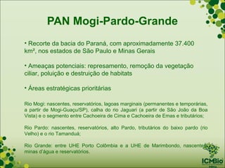 PAN Mogi-Pardo-Grande
• Recorte da bacia do Paraná, com aproximadamente 37.400
km², nos estados de São Paulo e Minas Gerais

• Ameaças potenciais: represamento, remoção da vegetação
ciliar, poluição e destruição de habitats

• Áreas estratégicas prioritárias

Rio Mogi: nascentes, reservatórios, lagoas marginais (permanentes e temporárias,
a partir de Mogi-Guaçu/SP), calha do rio Jaguari (a partir de São João da Boa
Vista) e o segmento entre Cachoeira de Cima e Cachoeira de Emas e tributários;

Rio Pardo: nascentes, reservatórios, alto Pardo, tributários do baixo pardo (rio
Velho) e o rio Tamanduá;

Rio Grande: entre UHE Porto Colômbia e a UHE de Marimbondo, nascentes,
minas d’água e reservatórios.
 