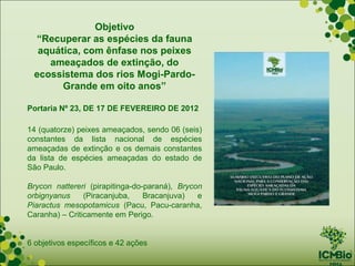 Objetivo
 “Recuperar as espécies da fauna
  aquática, com ênfase nos peixes
    ameaçados de extinção, do
 ecossistema dos rios Mogi-Pardo-
       Grande em oito anos”

Portaria Nº 23, DE 17 DE FEVEREIRO DE 2012

14 (quatorze) peixes ameaçados, sendo 06 (seis)
constantes da lista nacional de espécies
ameaçadas de extinção e os demais constantes
da lista de espécies ameaçadas do estado de
São Paulo.

Brycon nattereri (pirapitinga-do-paraná), Brycon
orbignyanus     (Piracanjuba,    Bracanjuva)   e
Piaractus mesopotamicus (Pacu, Pacu-caranha,
Caranha) – Criticamente em Perigo.


6 objetivos específicos e 42 ações
 