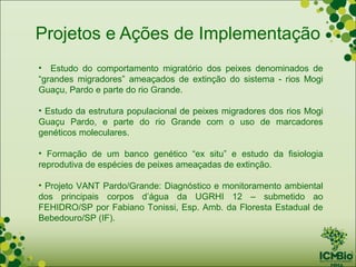 Projetos e Ações de Implementação
• Estudo do comportamento migratório dos peixes denominados de
“grandes migradores” ameaçados de extinção do sistema - rios Mogi
Guaçu, Pardo e parte do rio Grande.

• Estudo da estrutura populacional de peixes migradores dos rios Mogi
Guaçu Pardo, e parte do rio Grande com o uso de marcadores
genéticos moleculares.

• Formação de um banco genético “ex situ” e estudo da fisiologia
reprodutiva de espécies de peixes ameaçadas de extinção.

• Projeto VANT Pardo/Grande: Diagnóstico e monitoramento ambiental
dos principais corpos d’água da UGRHI 12 – submetido ao
FEHIDRO/SP por Fabiano Tonissi, Esp. Amb. da Floresta Estadual de
Bebedouro/SP (IF).
 
