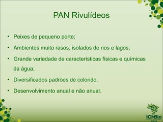 PAN Rivulídeos

• Peixes de pequeno porte;

• Ambientes muito rasos, isolados de rios e lagos;

• Grande variedade de características físicas e químicas
  da água;
• Diversificados padrões de colorido;

• Desenvolvimento anual e não anual.
 
