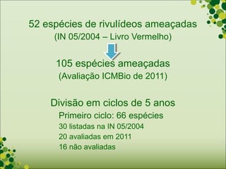52 espécies de rivulídeos ameaçadas
     (IN 05/2004 – Livro Vermelho)


     105 espécies ameaçadas
      (Avaliação ICMBio de 2011)


    Divisão em ciclos de 5 anos
      Primeiro ciclo: 66 espécies
      30 listadas na IN 05/2004
      20 avaliadas em 2011
      16 não avaliadas
 
